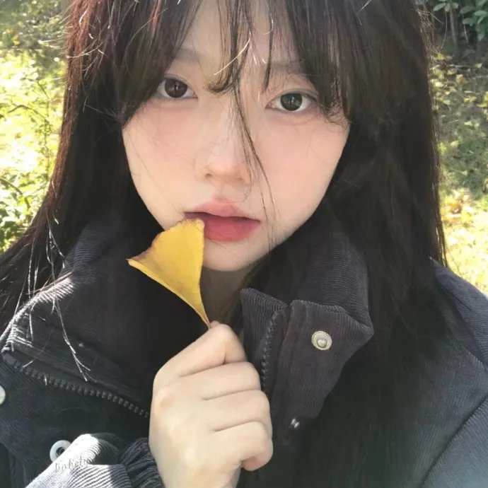 第二模式